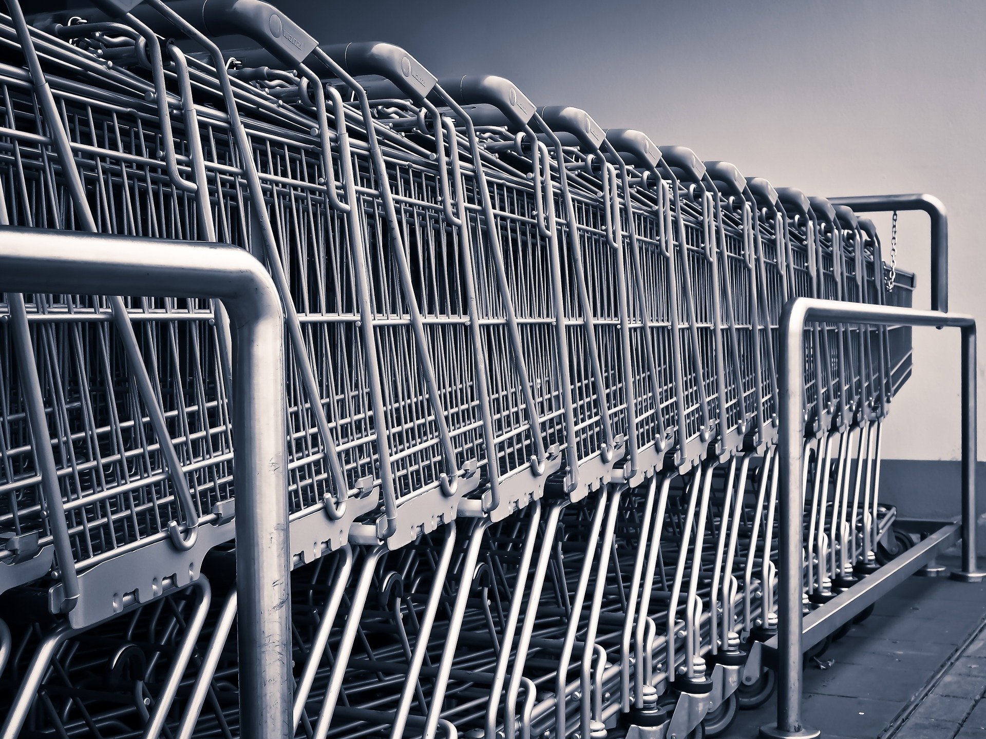 Supermercado, Alimentos, Empresas alimentarias, Pixabay,shopping-carts-1275480_1920