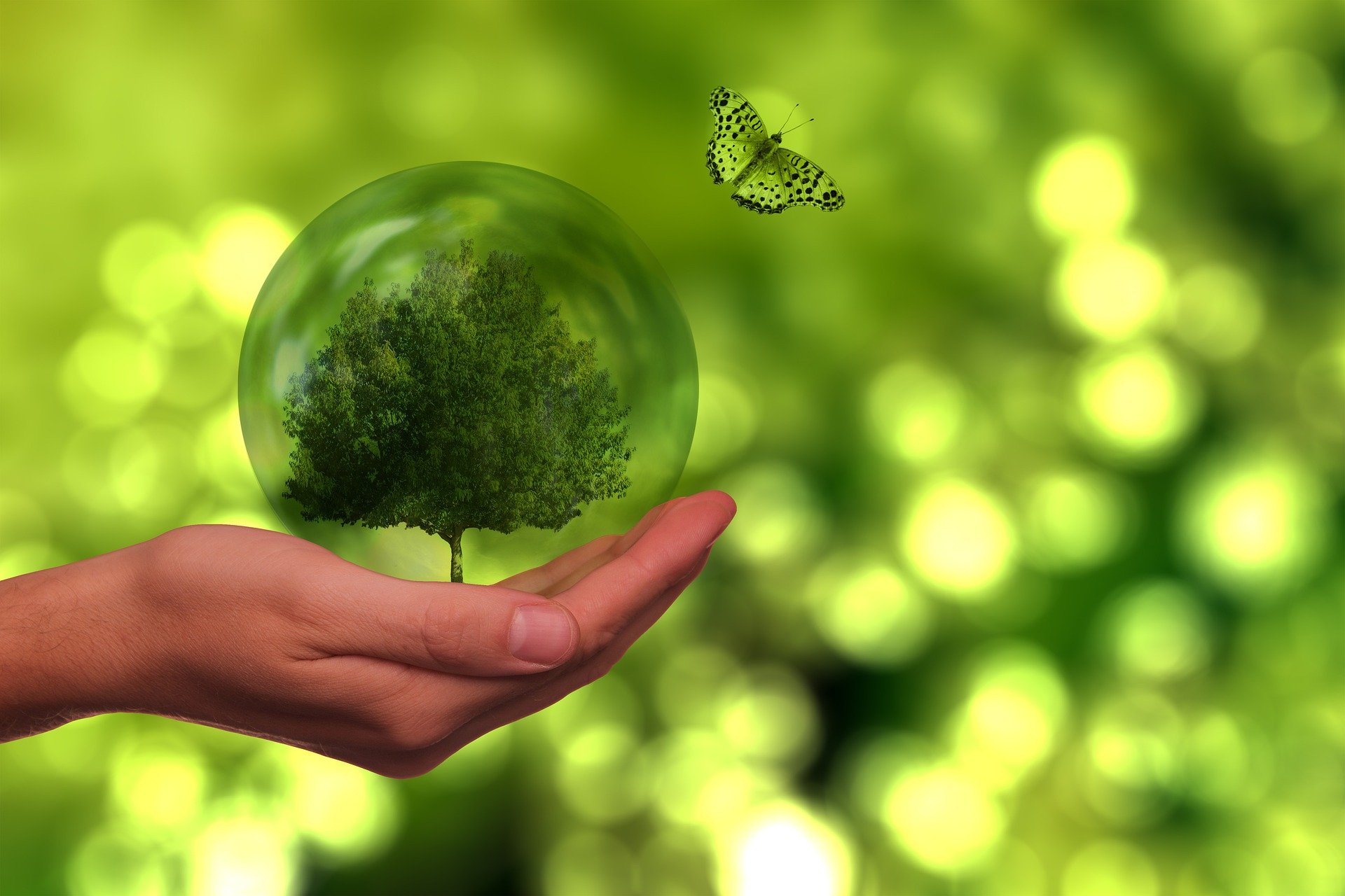 energias renovables, pixabay, hidrogeno verde
