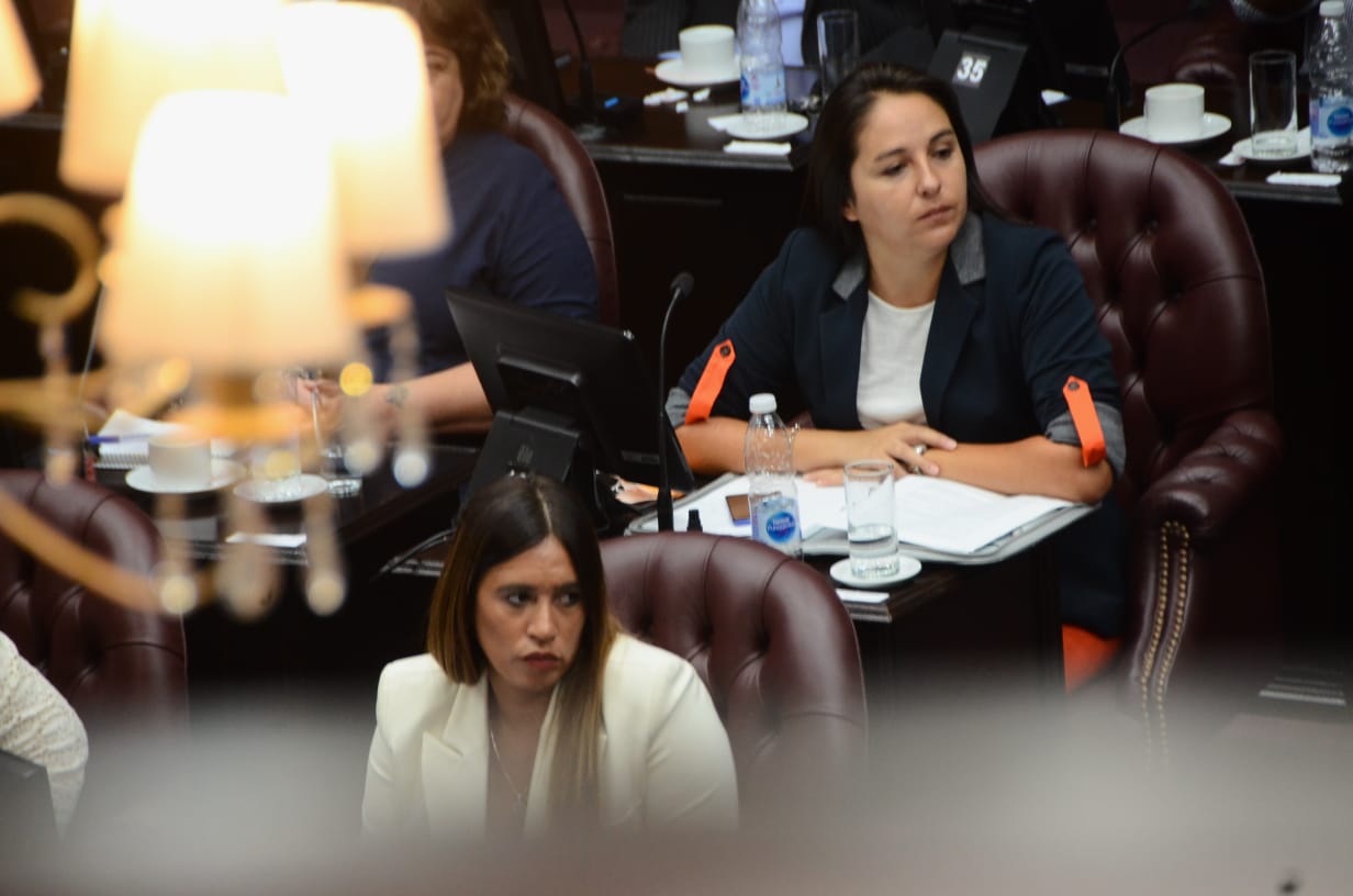 Fernanda Spinuzza, Camara de diputados San Luis, foto