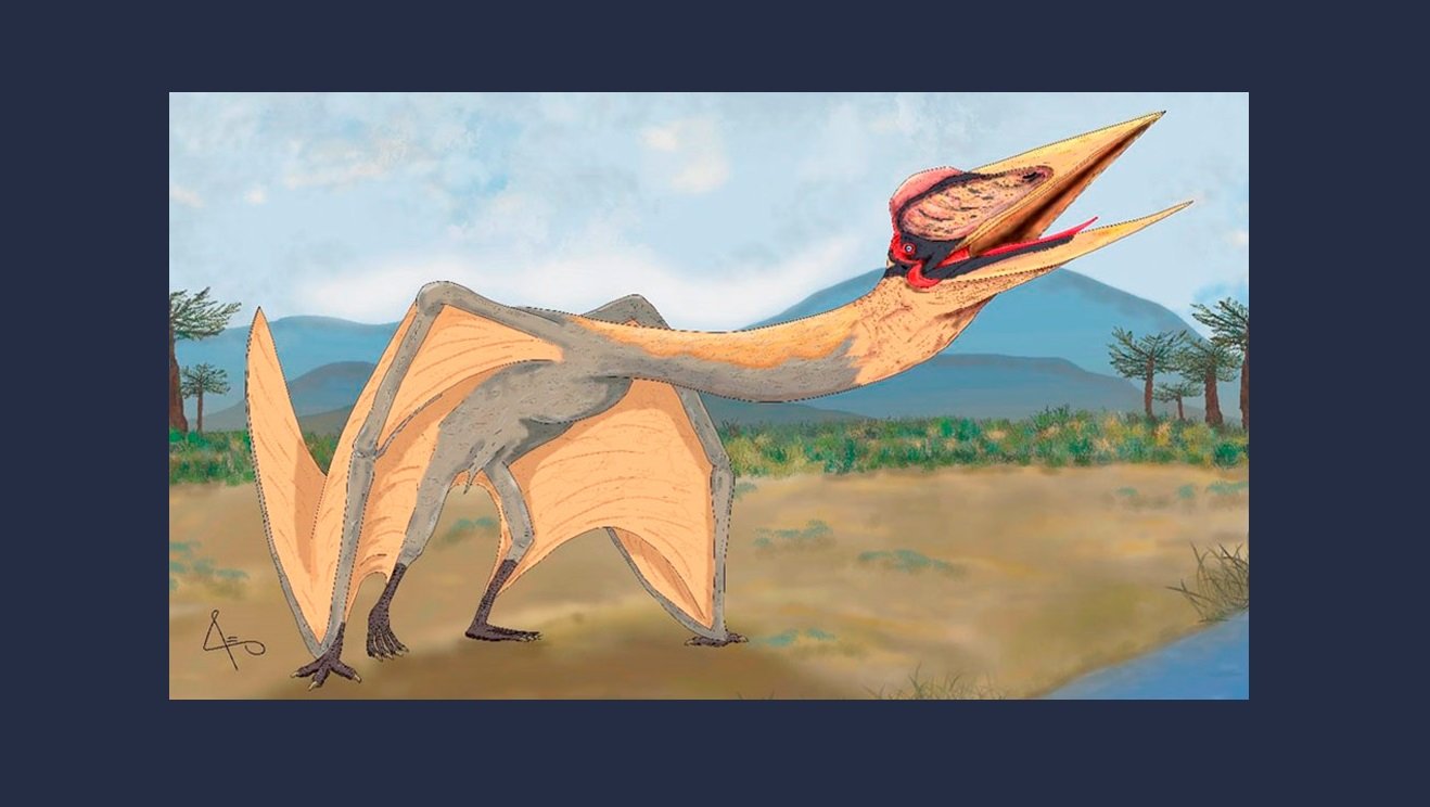 20220608 - Hallan en Mendoza el pterosaurio más grande de Sudamérica - Conicet