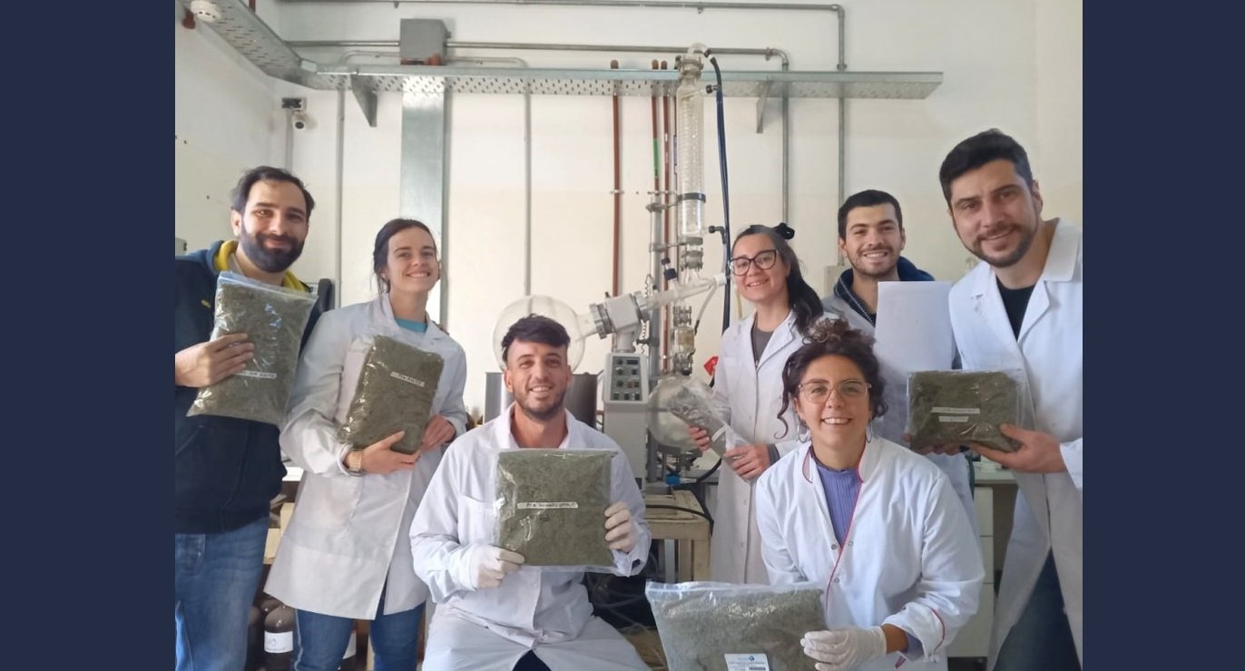 20221006 - UNSL Producen aceite de cannabis para la comunidad